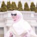 Syahrini Meliris NFT Hijab Pertama Di Dunia