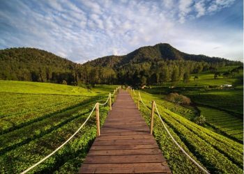 Info Harga Tiket dan Jadwal Wisata Riung Gunung