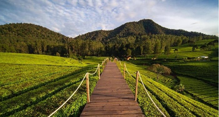 Info Harga Tiket dan Jadwal Wisata Riung Gunung