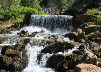 Abu Dzar Melakukan Dengar Pendapat Umum (2)