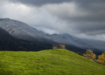 Saad bin Abi Waqqash yang Dipercaya Umar bin Khattab
