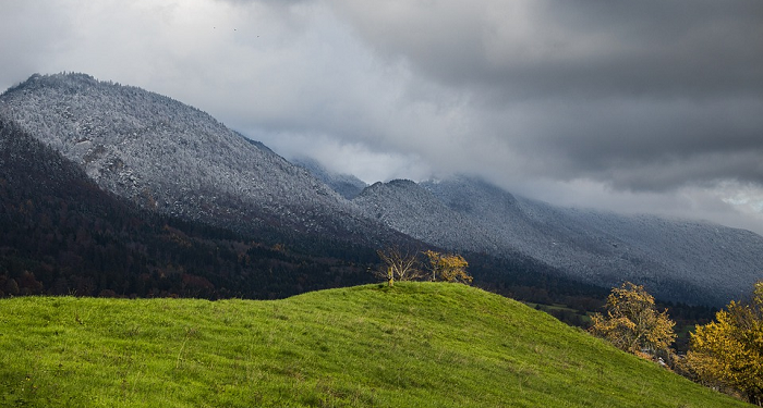 Saad bin Abi Waqqash yang Dipercaya Umar bin Khattab