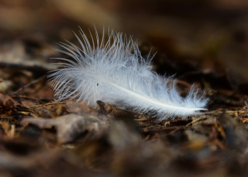 Grasak-Grusuk Night (Bag.3)