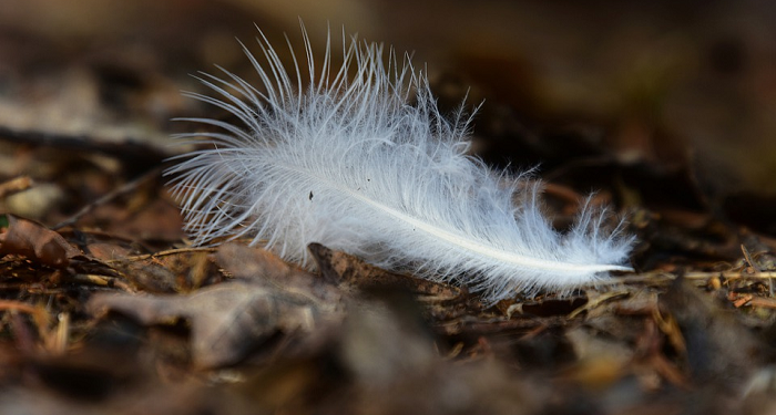 Grasak-Grusuk Night (Bag.3)