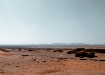 Mengenal Heyreddin Barbarossa, Panglima Tertinggi Angkatan Laut Utsmani (1)