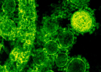 Ketika Wabah Penyakit Terjadi pada Masa Abbasiyah