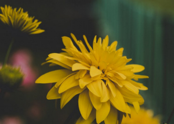 Jiwa itu merupakan Amanah