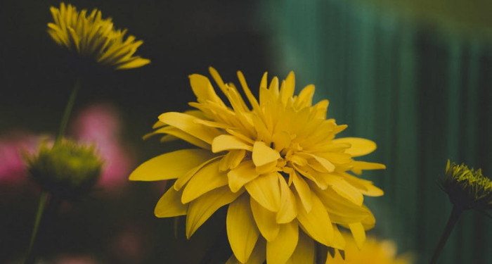 Jiwa itu merupakan Amanah