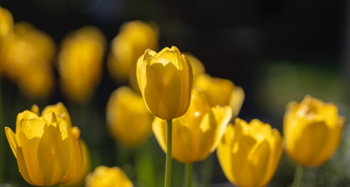 Apakah Ada Doa Setelah Iqamah?