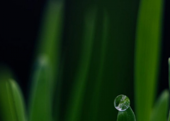 Dulu Musuh, Sekarang Bisa jadi Pencinta