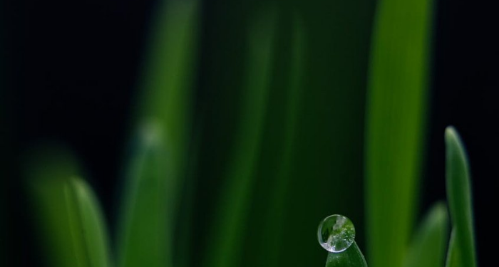 Dulu Musuh, Sekarang Bisa jadi Pencinta