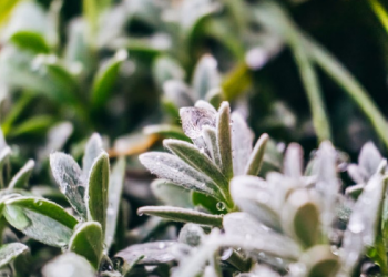 Tafsir Surat Al-Baqarah Ayat 21