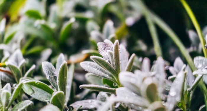 Tafsir Surat Al-Baqarah Ayat 21