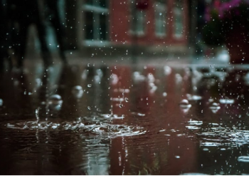 Tafsir Surat Al-Baqarah Ayat 22, Manfaat Hujan