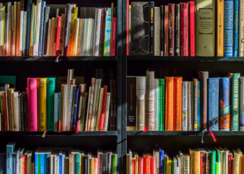 Kontribusi Muhammad Al Fatih dalam Bidang Pendidikan