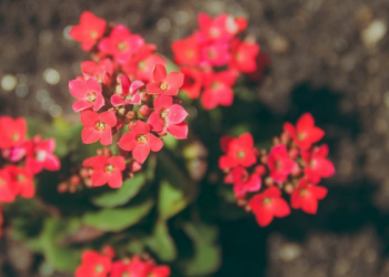 Pertama Kali Masuk Pesantren
