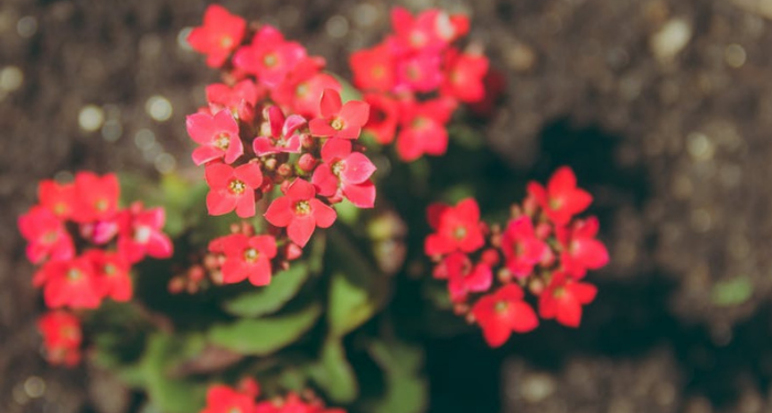 Pertama Kali Masuk Pesantren