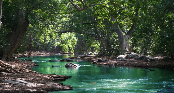 Tadabur Surat Al-Kahfi Ayat 31