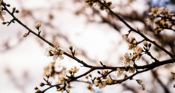 Tafsir Surat Al-Baqarah Ayat 23