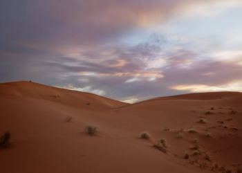 Kekuatan Ekspansi Thariq bin Ziyad