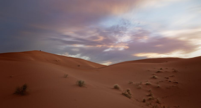 Kekuatan Ekspansi Thariq bin Ziyad