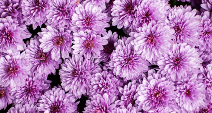 Mengenal Sultan Abdul Hamid II dan Reformasi yang Dilakukan