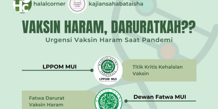 Halal Corner Gelar Webinar Bertema Vaksin Haram, Daruratkah?