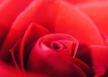 Peran Muslimah pada Masa Awal Islam