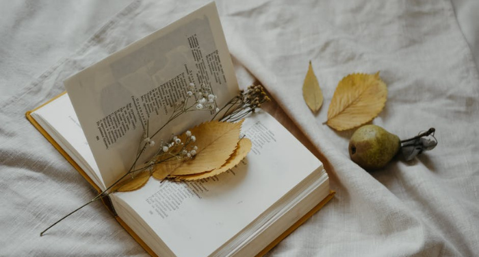 Keterpaksaan yang Membuatku Suka Membaca