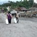 Semeru Kembali Erupsi, Relawan SSY dan Laznas Sahabat Yatim Lakukan Aksi Tanggap Bencana