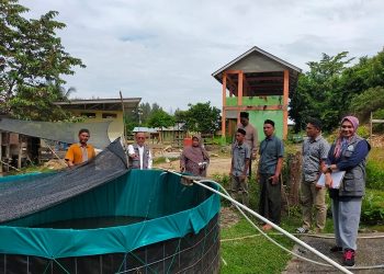 Baitul Mal Aceh Programkan Stimulus Wakaf Produktif