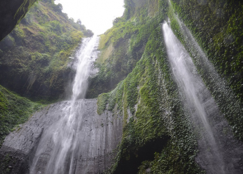 Sikap Saad Saat Terjadi Fitnah Besar Di Tengah Umat Islam