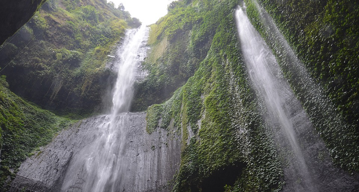 Sikap Saad Saat Terjadi Fitnah Besar Di Tengah Umat Islam