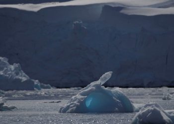 Badan PBB Konfirmasi Rekor Panas Arktik 38 Celcius dari Tahun 2020