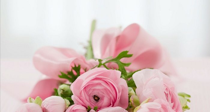 Kakak Kedua menjadi Wali Nikah