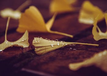 Cara Menghindari Musibah atau Ketiban Sial