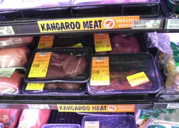 Daging Kanguru, Makanan Lokal Khas Australia