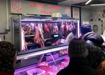 Komunitas Muslim Belgia Tolak Larangan Penyembelihan Halal di Pengadilan HAM Eropa