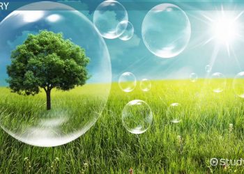 Masjid di Calgary Berikan Kesadaran Lingkungan kepada Masyarakat