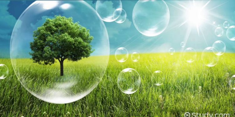 Masjid di Calgary Berikan Kesadaran Lingkungan kepada Masyarakat