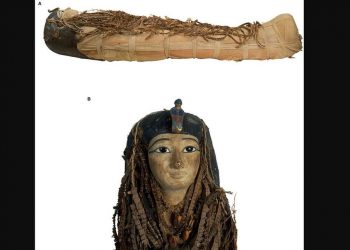 Hasil Scan Ungkap Detail Mumi Mesir Kuno yang Belum Dibuka
