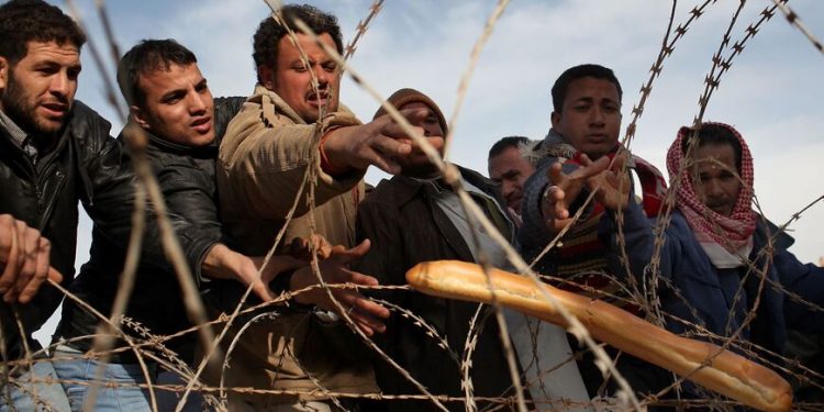 Kerawanan Pangan Dialami Sepertiga Populasi Dunia Arab pada 2020