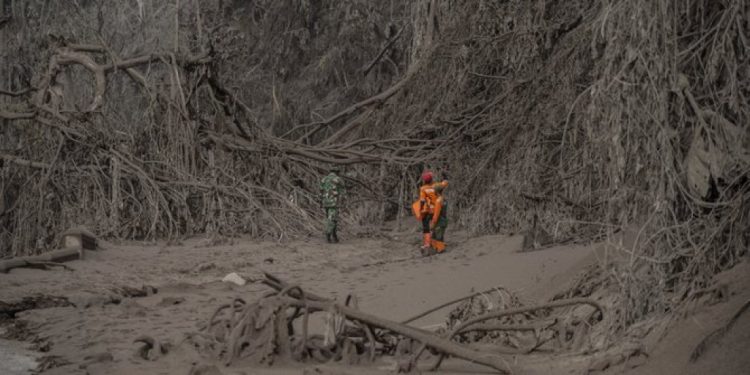 Semeru bukan Momen Politik