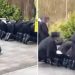 Akademi Oldham Minta Maaf Setelah Desak Siswa Shalat di Luar Ruangan