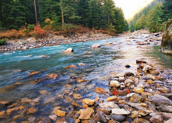 Siasat Saad bin Abi Waqqash di Pertempuran Madain