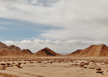 Antara Strategi Amr bin al 'Ash dan Husnuzh zhannya Abu Ubaidah, Mu'adz, dan Abu Watsilah