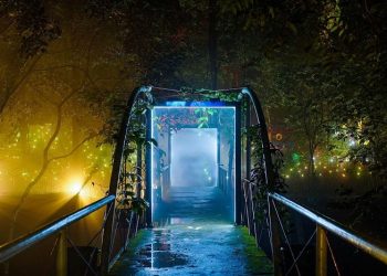 Hutan Menyala, Wisata Malam di Hutan Tahura