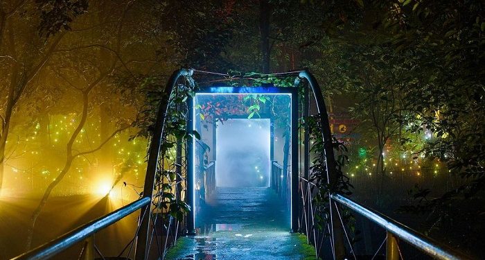 Hutan Menyala, Wisata Malam di Hutan Tahura