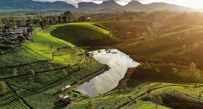 Situ Datar, Pilihan Wisata Baru untuk Keluarga di Bandung