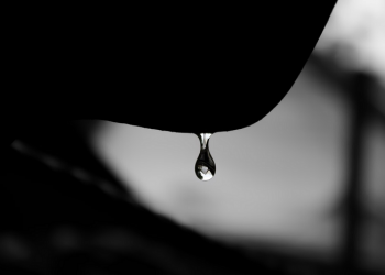 Kisah Said bin Amir dengan Isterinya